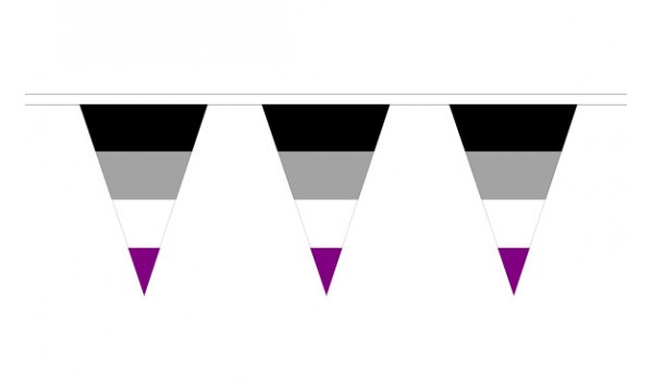 Asexual Triangle Bunting