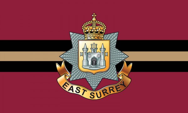 East Surrey Regiment Custom Printed AnyFlag®