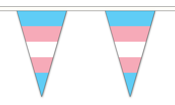 Transgender New Triangle Bunting