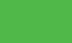Plain Neon Green Flag, Buy Plain Neon Green Flag