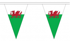 Buy A Welsh Flag | Flags of Wales For Sale from Midland Flags