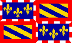 Burgundy Flags