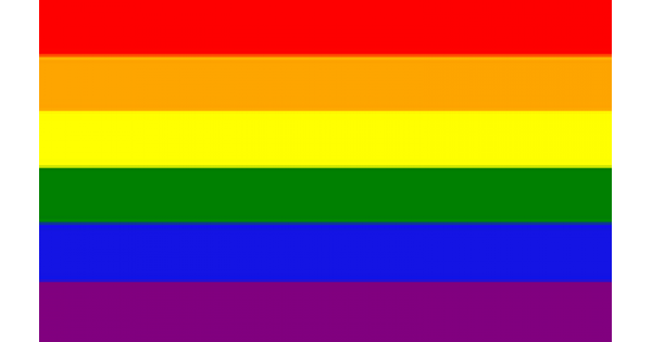 the official gay flag