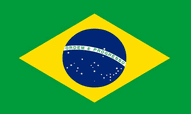 Brazil World Cup 2022 Flags