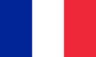 France World Cup 2022 Flags