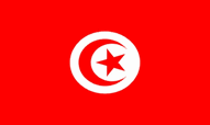 Tunisia World Cup 2022 Flags